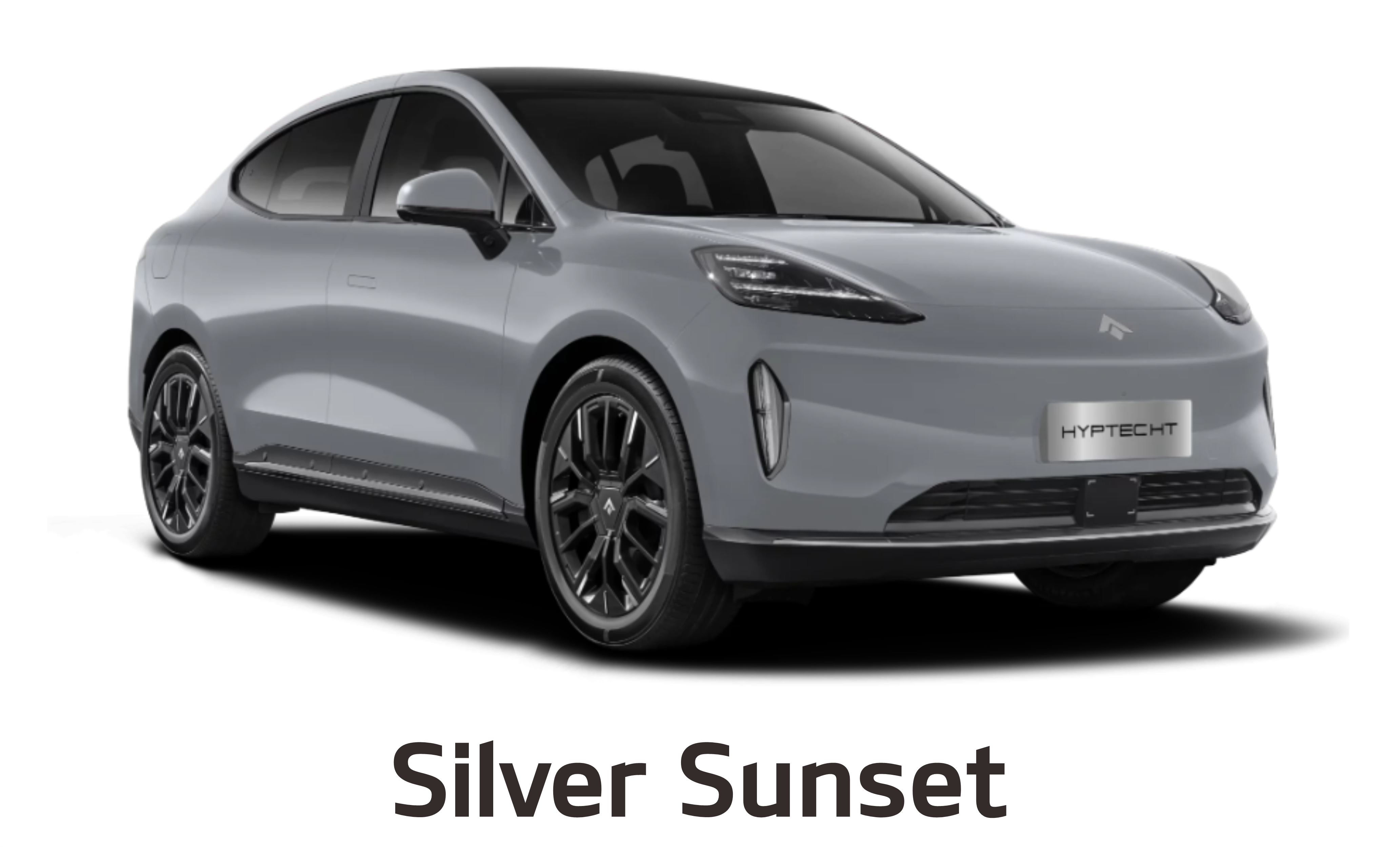ht silver