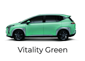 y+ green
