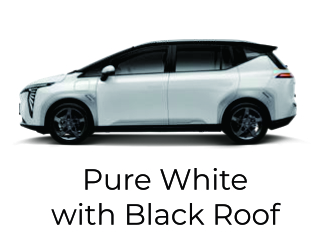 y+white black